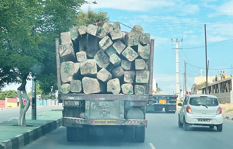 Huíla: Transporte de madeira