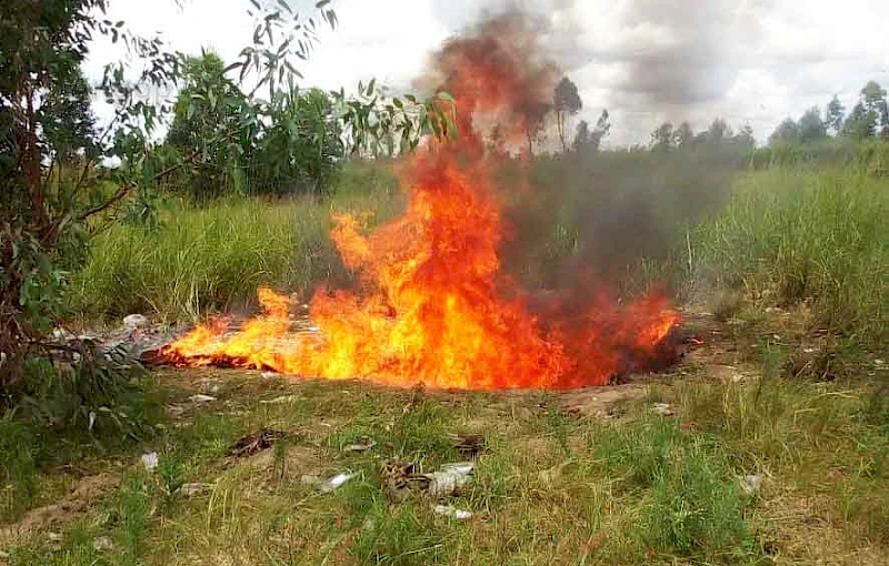 Produtos incenerados