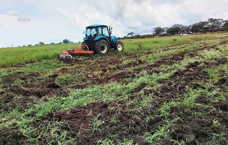 Campo Lavrado (Foto ilustração)