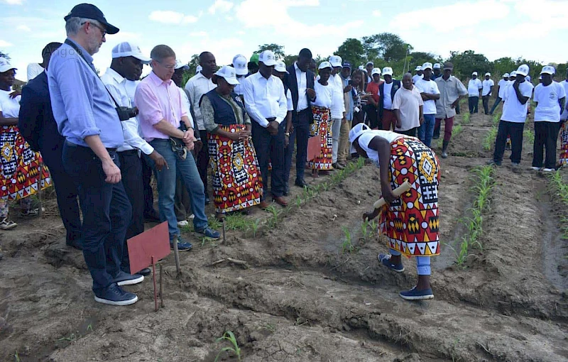 Vice-Presidente do Fundo Internacional de Desenvolvimento Agrícola, Donald Brown, visita escola de campo no Dande