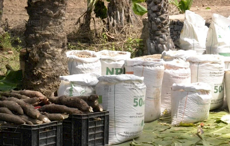 Produção agricola no Namibe