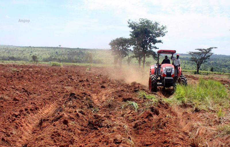 Agricultores aumentam áreas de produção através de trabalho mecanizado