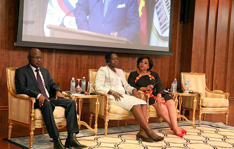 Round table on Angola's foreign policy in great lakes