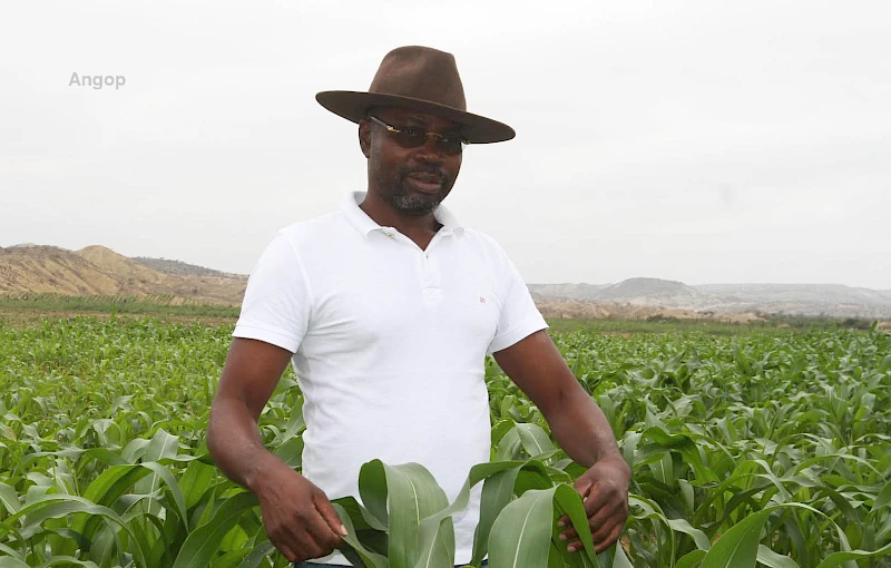 Antonio Noe, empresário e sócio-gerente da fazenda Indu-Agri, na comuna do Dombe-Grande