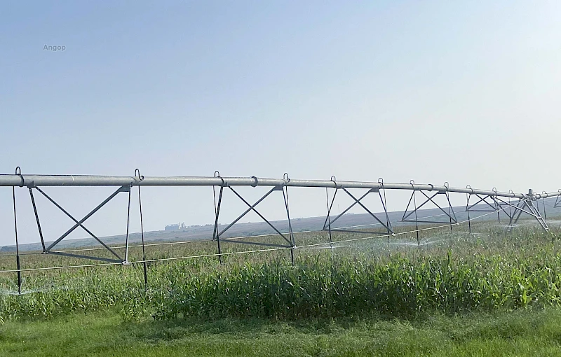 Campo de produção agrícola