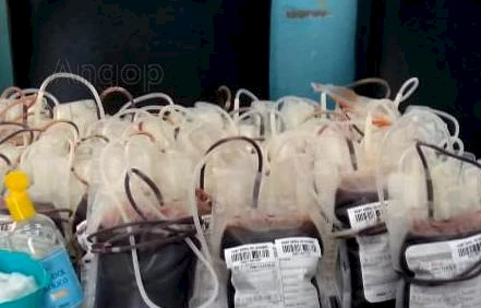 Bolsas de sangue