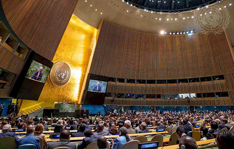 Assembleia Geral das Nações Unidas