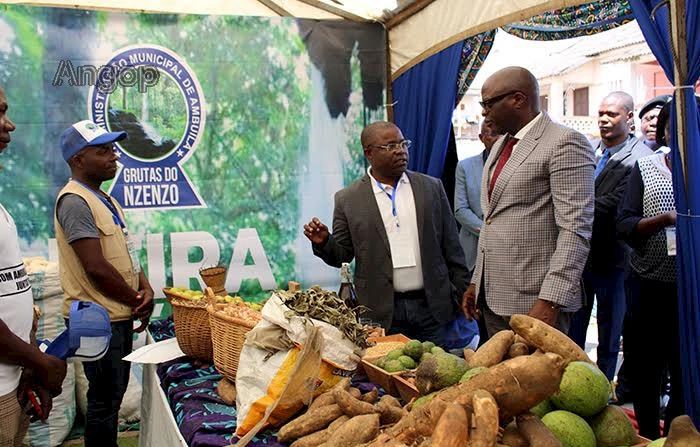 Governador do Uíge, José Carvalho da Rocha, inaugura Feira Agricola Regional no Município do Uíge