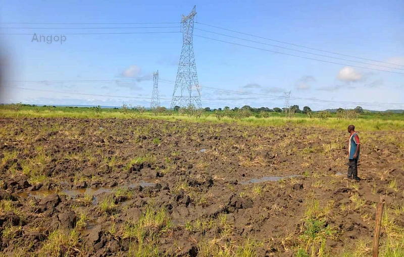 Preparação da fazenda de arroz no Icolo e Bengo