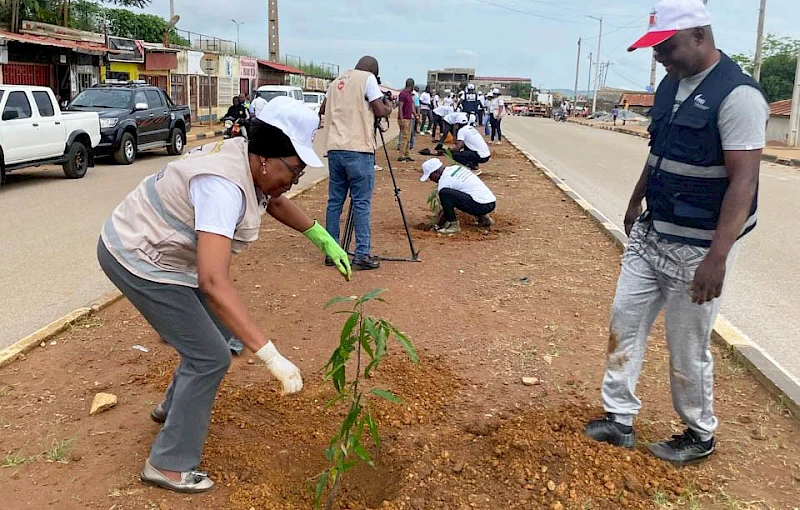 PGR no Zaire promove campanha de arborização