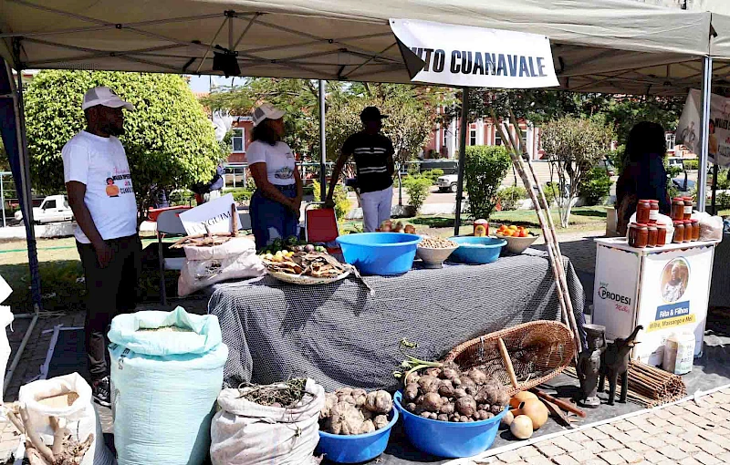 Exposição de produtos na feira em alusão XVI Encontro Nacional da Mulher Empreendedora