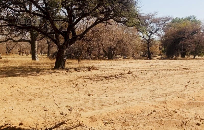 Espaço reservado para o novo cemitério municipal do Cuanhama/Cunene