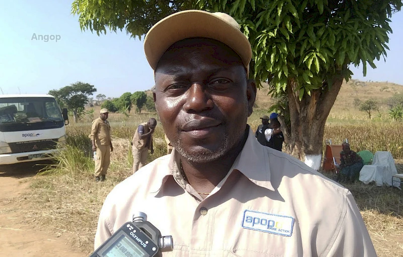 Director geral da APOPO em Angola, Manuel Agostinho