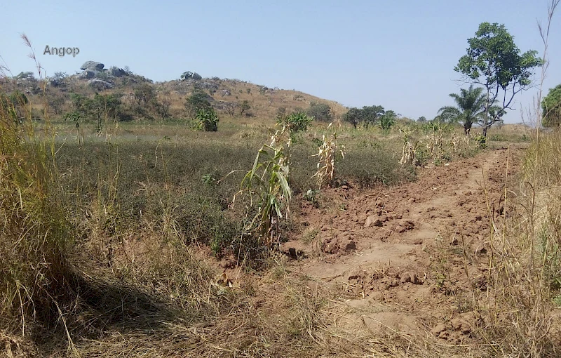 Campo destinado pela APOPO