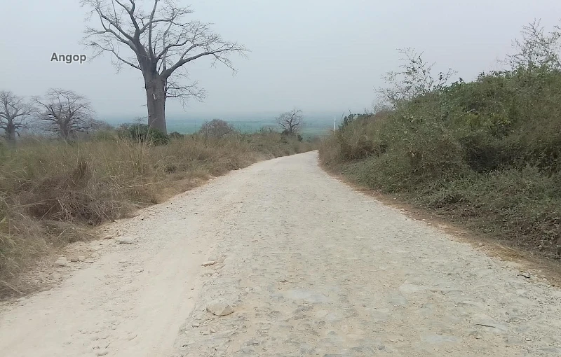 Via de aceso à comuna da Quiminha