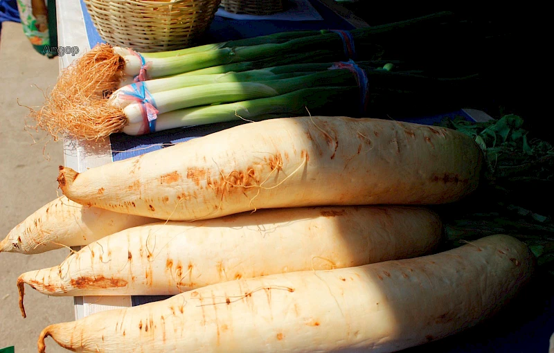 Producção agrícola em feira na Matala