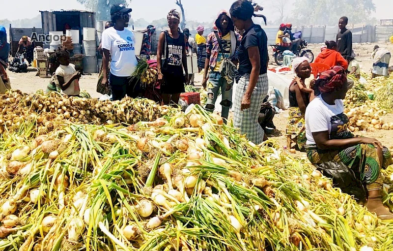 Comercialização da cebola no mercado de Oshomukuio/Cunene