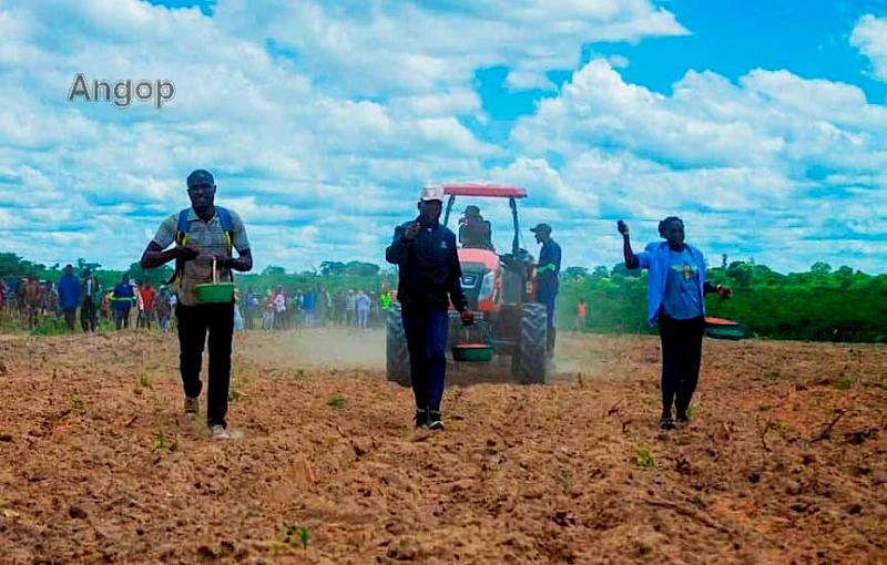 Produção agrícola no Cuvango