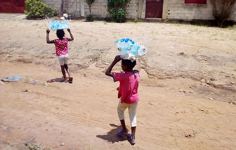 Trabalho infantil, uma das formas de violência contra a criança