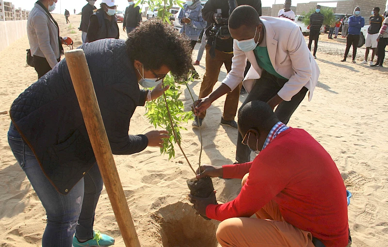 Namibe: Municipes do bairro 5 de Abril em Moçâmedes plantam árvores