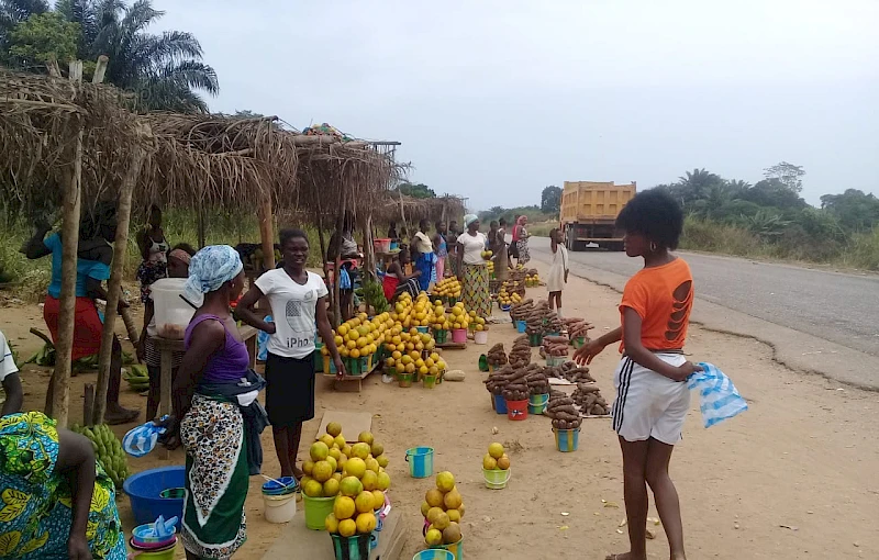 Citrinos entre as frutas mais produzidas na Cerca