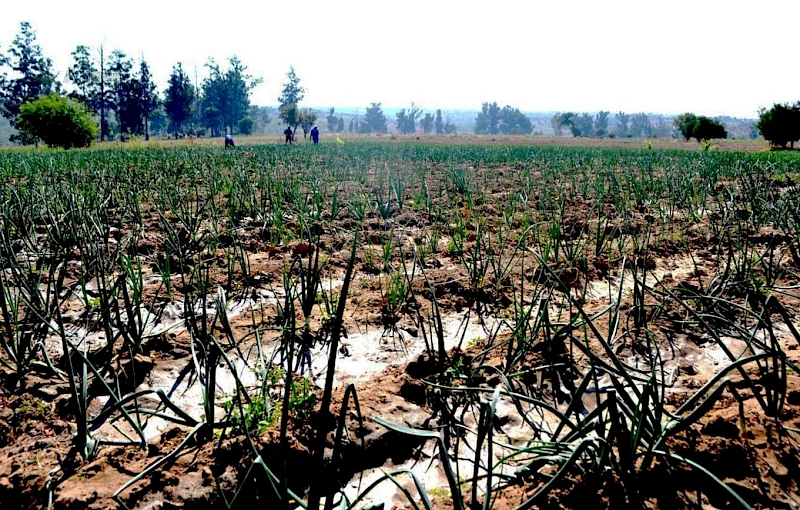 Projet de production agricole de Caluquembe avec plus d'eau