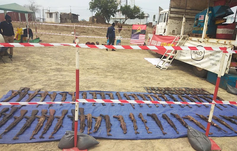 Armas de fogo recolhidas pela PN