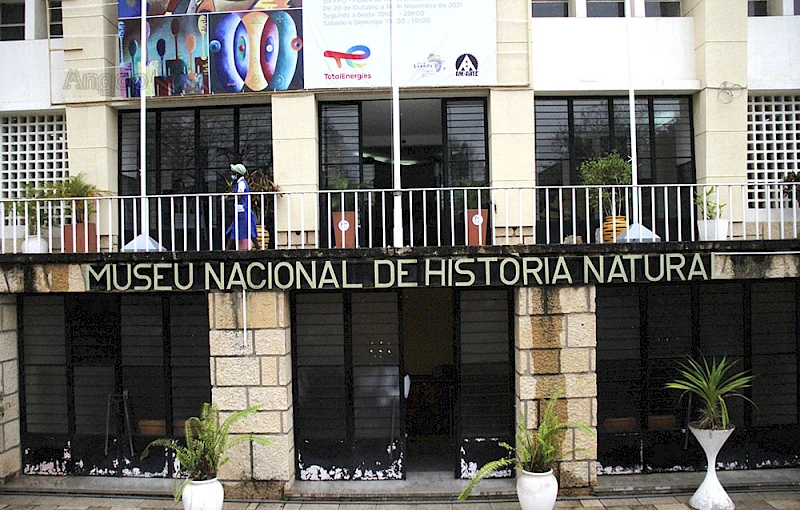 Museu de História Natural