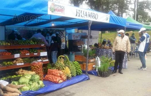 Feira de produtos agrícolas (ilustração)