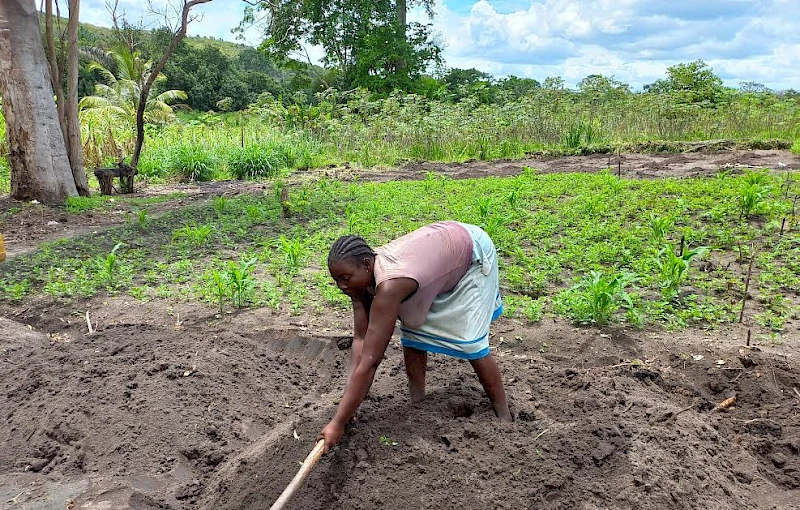 Soyo: Camponesa tratando da terra